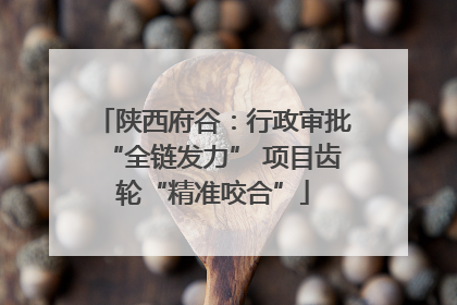 陕西府谷：行政审批“全链发力” 项目齿轮“精准咬合”