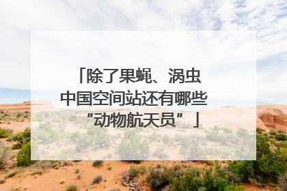 除了果蝇、涡虫 中国空间站还有哪些“动物航天员”