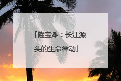 隆宝滩：长江源头的生命律动