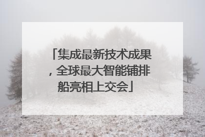 集成最新技术成果，全球最大智能铺排船亮相上交会