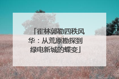 霍林郭勒四秩风华：从荒原勘探到绿电新城的蝶变