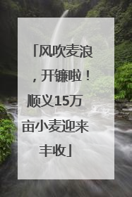 风吹麦浪，开镰啦！顺义15万亩小麦迎来丰收