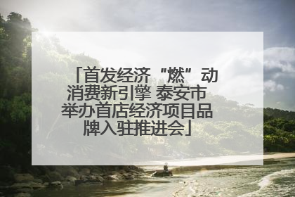 首发经济“燃”动消费新引擎 泰安市举办首店经济项目品牌入驻推进会