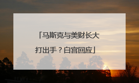 马斯克与美财长大打出手？白宫回应