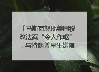 马斯克怒批美国税改法案“令人作呕”，与特朗普早生嫌隙？｜国际识局