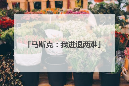 马斯克：我进退两难