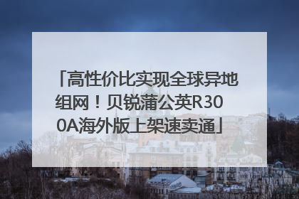 高性价比实现全球异地组网！贝锐蒲公英R300A海外版上架速卖通