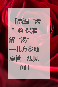 高温“烤”验 保灌解“渴”——北方多地夏管一线见闻