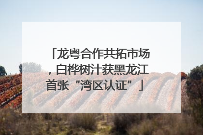 龙粤合作共拓市场，白桦树汁获黑龙江首张“湾区认证”
