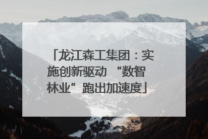 龙江森工集团：实施创新驱动 “数智林业”跑出加速度