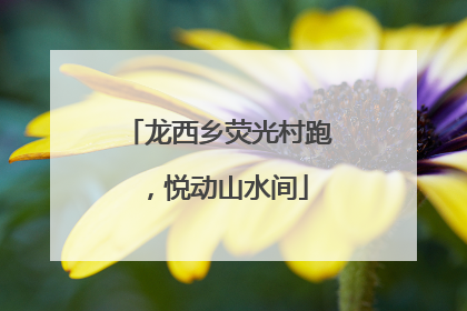 龙西乡荧光村跑，悦动山水间