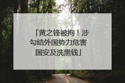黄之锋被拘！涉勾结外国势力危害国安及洗黑钱