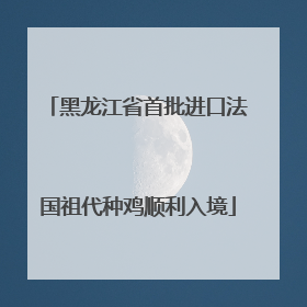 黑龙江省首批进口法国祖代种鸡顺利入境