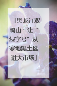 黑龙江双鸭山：让“绿字号”从寒地黑土挺进大市场