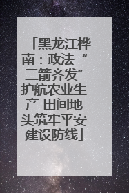 黑龙江桦南：政法“三箭齐发”护航农业生产 田间地头筑牢平安建设防线
