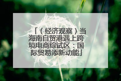 （经济观察）当海南自贸港遇上跨境电商综试区：国际贸易添新动能