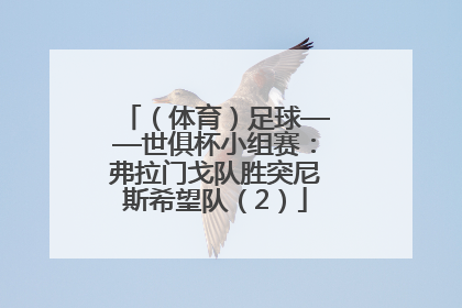 （体育）足球——世俱杯小组赛：弗拉门戈队胜突尼斯希望队（2）
