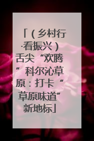 （乡村行·看振兴）舌尖“欢腾”科尔沁草原：打卡“草原味道”新地标