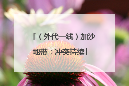 （外代一线）加沙地带：冲突持续