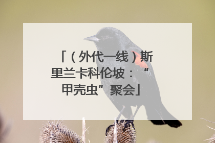 （外代一线）斯里兰卡科伦坡：“甲壳虫”聚会