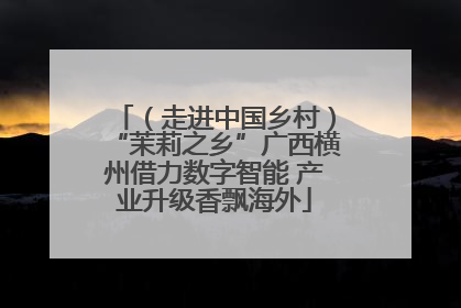 （走进中国乡村）“茉莉之乡”广西横州借力数字智能 产业升级香飘海外