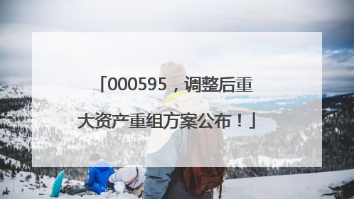 000595，调整后重大资产重组方案公布！