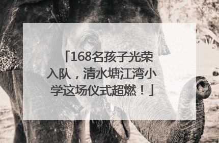 168名孩子光荣入队，清水塘江湾小学这场仪式超燃！