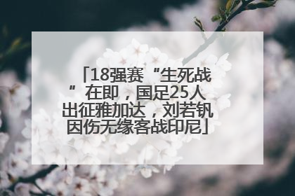 18强赛“生死战”在即，国足25人出征雅加达，刘若钒因伤无缘客战印尼