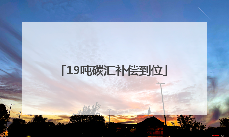 19吨碳汇补偿到位