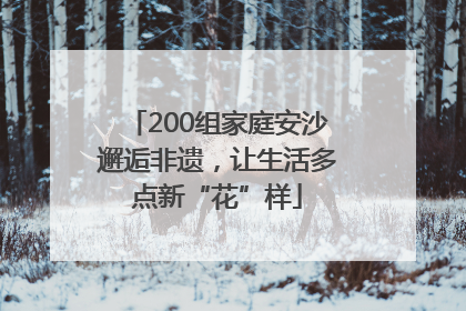 200组家庭安沙邂逅非遗，让生活多点新“花”样