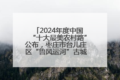 2024年度中国“十大最美农村路”公布，枣庄市台儿庄区“鲁风运河”古城文化廊道上榜！