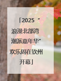 2025“浪漫北部湾 潮派嘉年华”欢乐周在钦州开幕