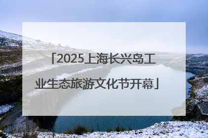 2025上海长兴岛工业生态旅游文化节开幕