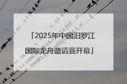 2025年中国汨罗江国际龙舟邀请赛开幕