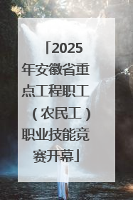 2025年安徽省重点工程职工（农民工）职业技能竞赛开幕
