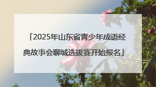 2025年山东省青少年成语经典故事会聊城选拔赛开始报名