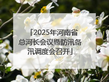 2025年河南省总河长会议暨防汛备汛调度会召开