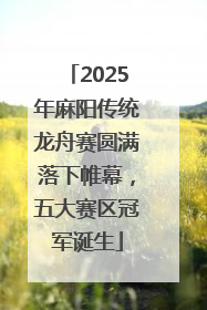 2025年麻阳传统龙舟赛圆满落下帷幕，五大赛区冠军诞生