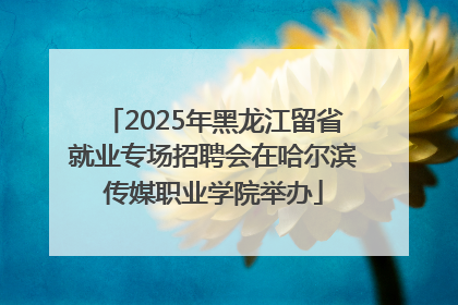 2025年黑龙江留省就业专场招聘会在哈尔滨传媒职业学院举办
