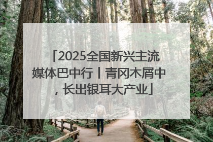 2025全国新兴主流媒体巴中行丨青冈木屑中，长出银耳大产业