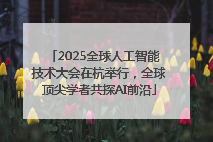 2025全球人工智能技术大会在杭举行，全球顶尖学者共探AI前沿