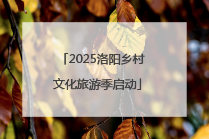 2025洛阳乡村文化旅游季启动