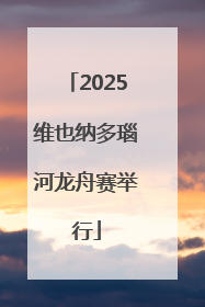 2025维也纳多瑙河龙舟赛举行