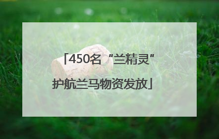 450名“兰精灵”护航兰马物资发放