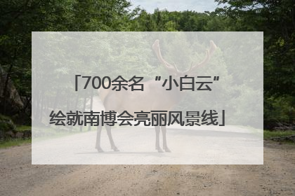 700余名“小白云”绘就南博会亮丽风景线