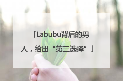 Labubu背后的男人，给出“第三选择”