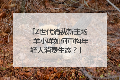 Z世代消费新主场：羊小咩如何重构年轻人消费生态？
